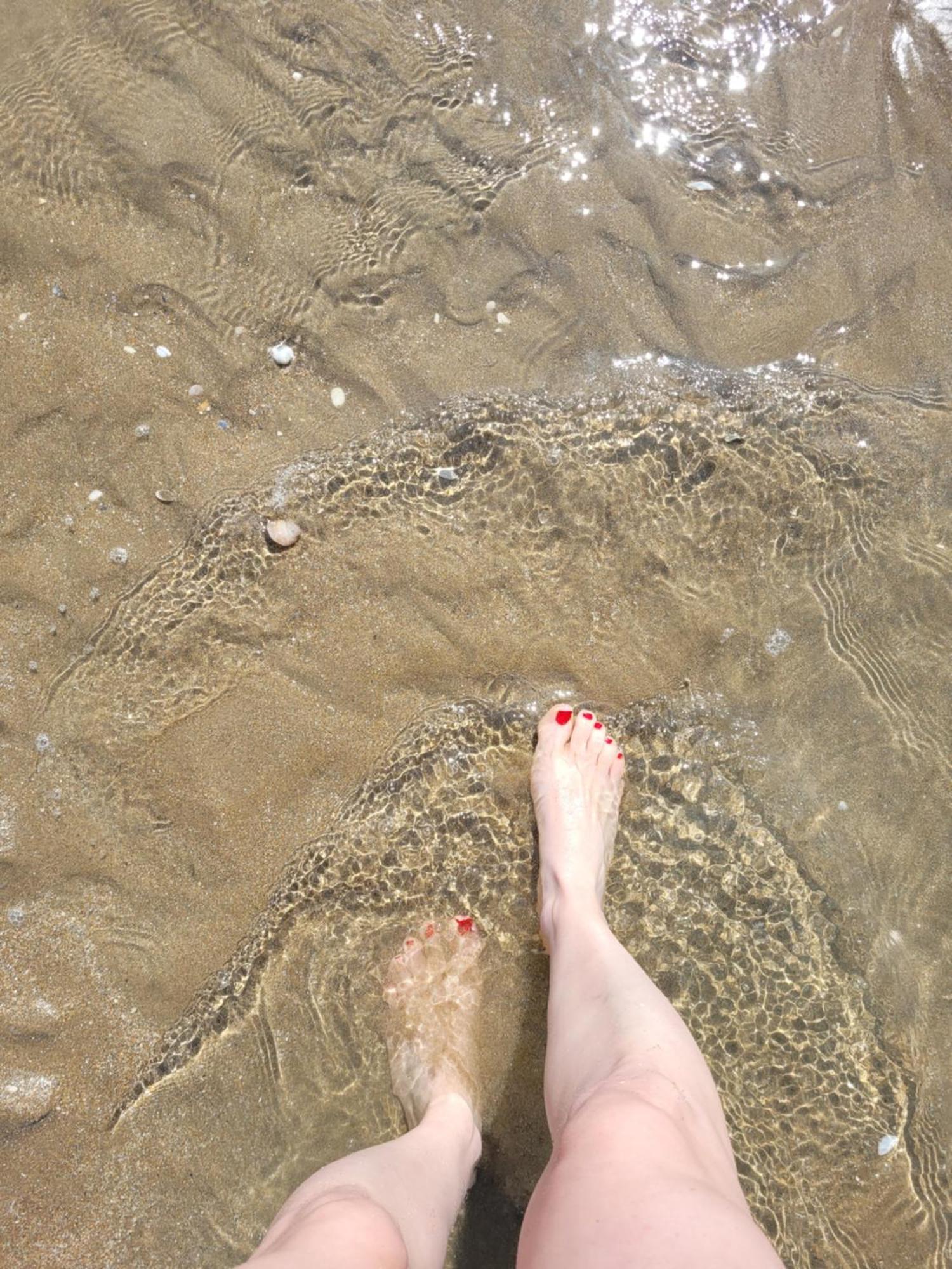 M2M Studio Magnifique Vue Mer - Avec Balcon - Les Pieds Dans L Eau! Blonville-sur-Mer Eksteriør bilde